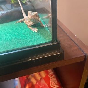 Meet your Posher, Marco